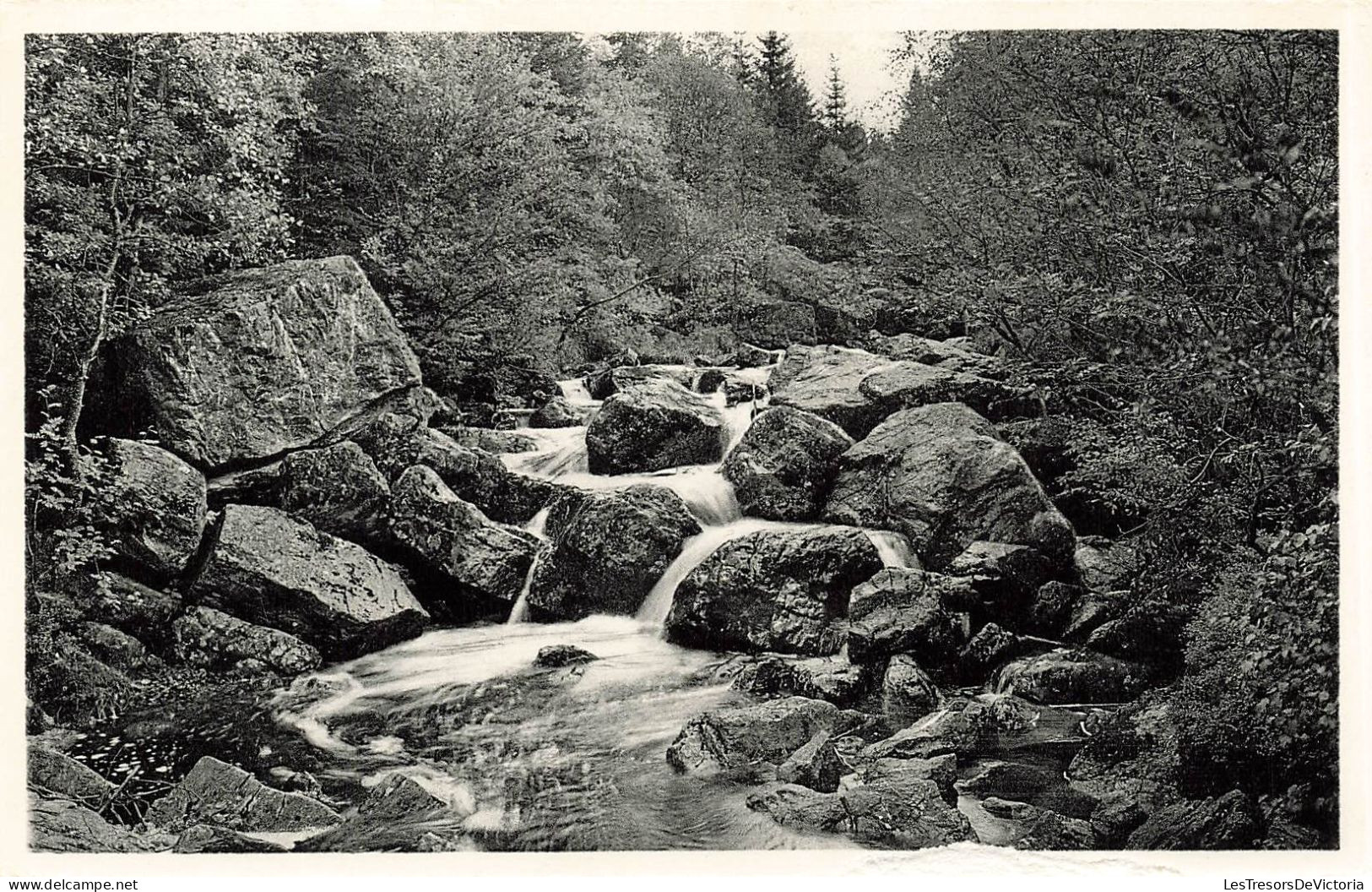 BELGIQUE - Vallée De La Hoegne - Vue Sur Les Cascatelles - Rochers - Vue Générale - Carte Postale Ancienne - Autres & Non Classés