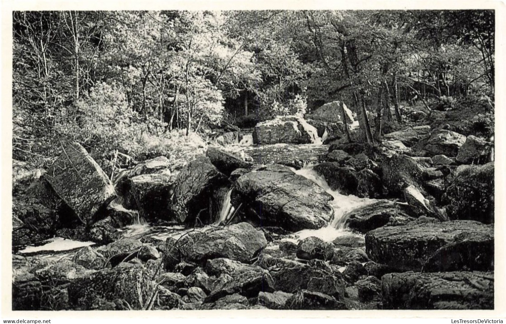 BELGIQUE - Vallée De La Hoegne - Vue Sur Les Casades - Rochers - Vue Générale - Carte Postale Ancienne - Andere & Zonder Classificatie