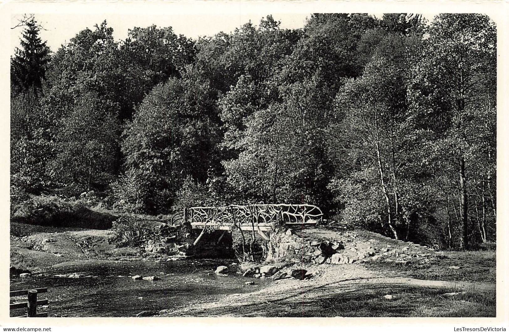 BELGIQUE - Vallée De La Hoegne - Vue Sur Le Pont Du Centenaire - Rochers - Vue Générale - Carte Postale Ancienne - Andere & Zonder Classificatie