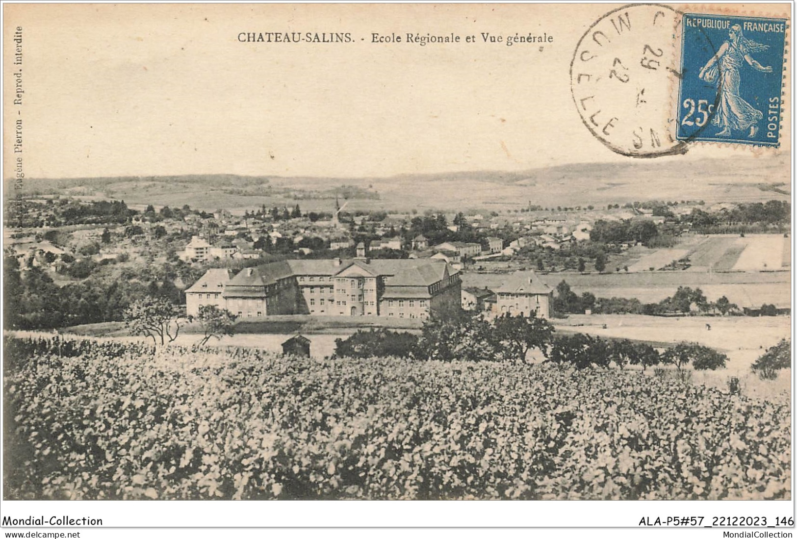 ALAP5-57-0477 - CHATEAU-SALINS - Ecole Régionale Et Vue Générale - Chateau Salins