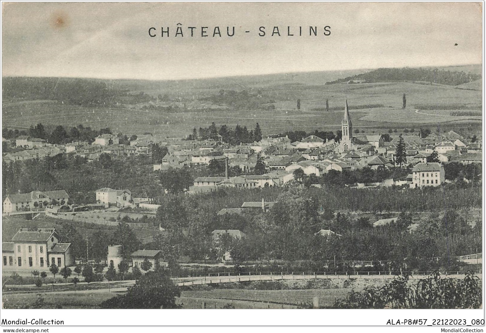 ALAP8-57-0758 - CHATEAU - SALINS - Chateau Salins