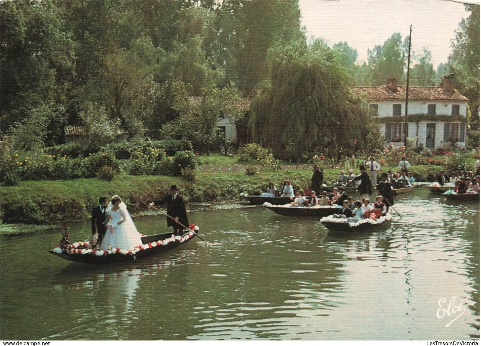 FRANCE - Poitou - Marais Poitevin - Cathédrale De La Verdure - Mariage En Barque - Carte Postale - Autres & Non Classés