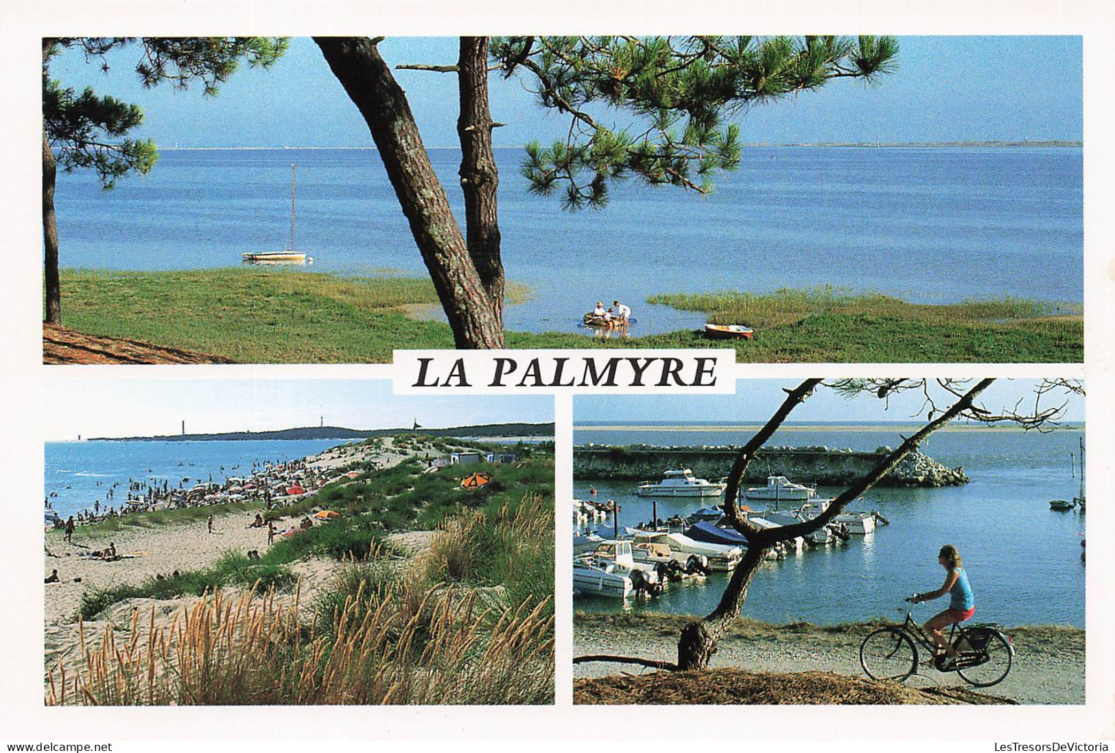 FRANCE - Baie De Bonne Anse - La Plage - Le Port De Plaisance - Carte Postale - Andere & Zonder Classificatie