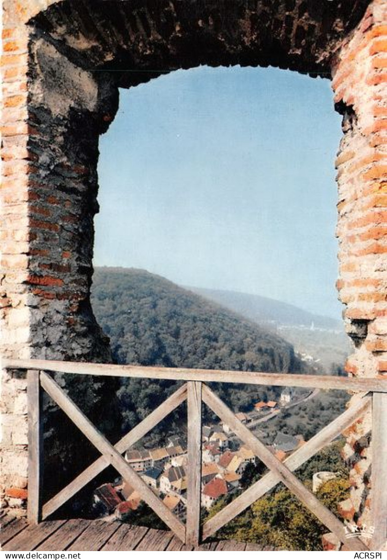 FERRETTE Jura Alsacien Vue Depuis Le Chateau (SCAN RECTO VERSO)MA0049 - Ferrette