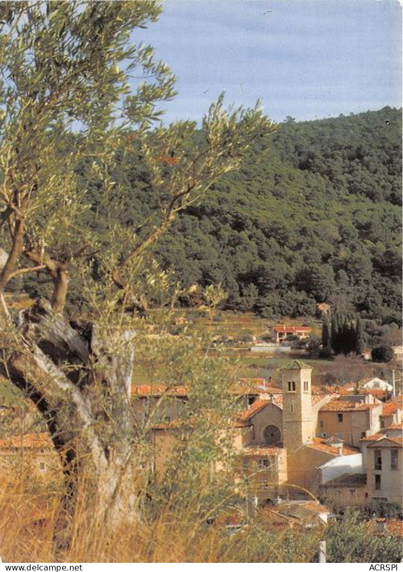 AUPS Le Lavoir Chef Lieu De Canton Porte Des Gorges Du Verdon (SCAN RECTO VERSO)MA0046 - Aups