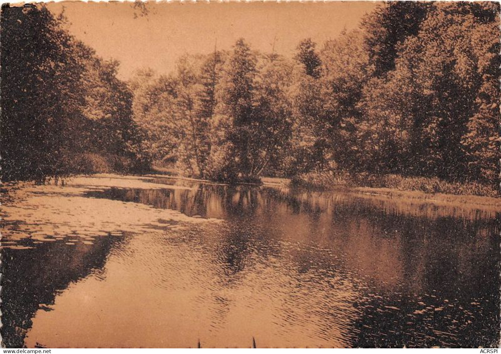 La Belle France Environs De TENCE Et Du CHAMBON S LIGNON Etang De Joux (SCAN RECTO VERSO)MA0071 - Le Chambon-sur-Lignon