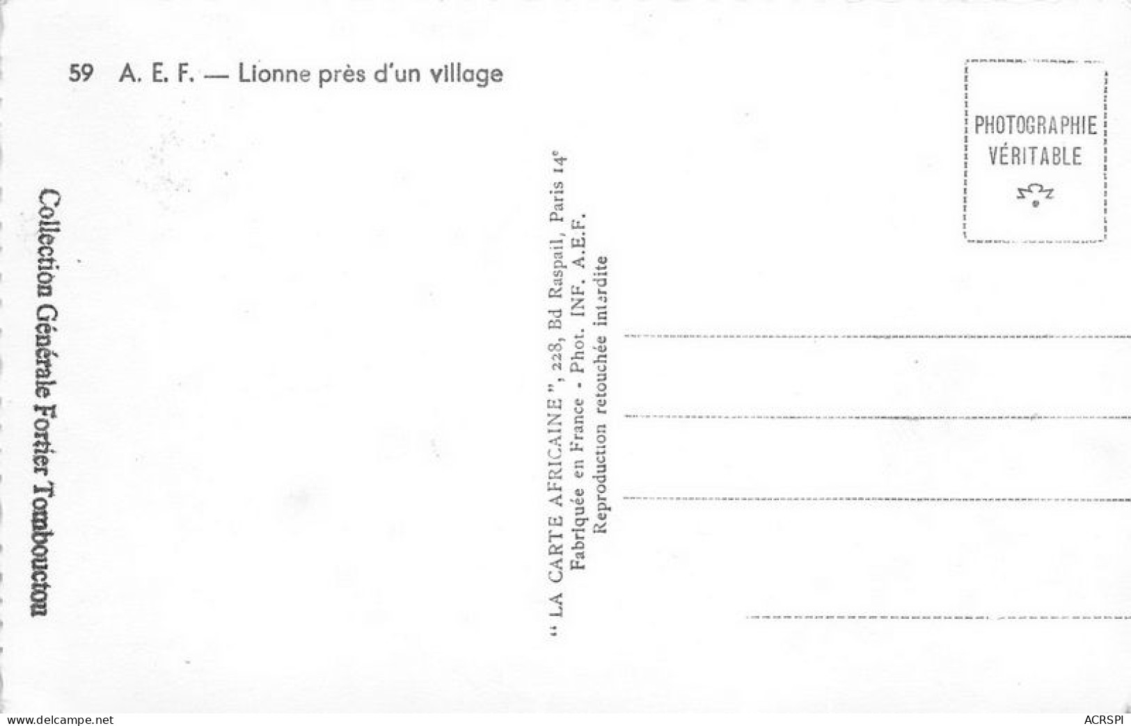 A E F Lionne Pres D Un Village 29(SCAN RECTO VERSO)MA0099 - Mali