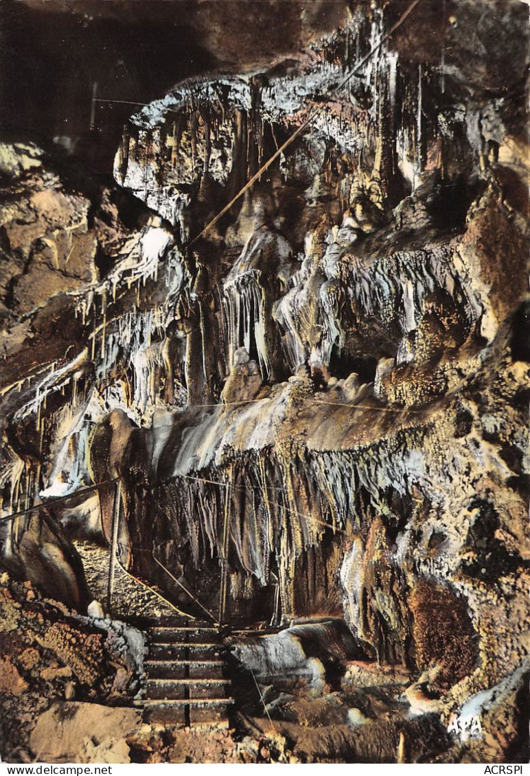 82  SAINT ANTONIN NOBLE VAL Grotte Du Bosc Les GOURS  49 (scan Recto Verso)MA008TER - Saint Antonin Noble Val