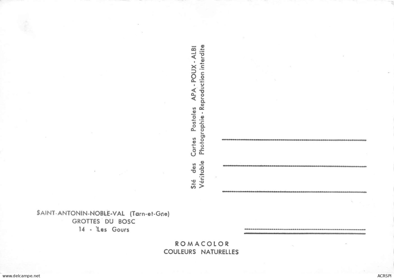 82  SAINT ANTONIN NOBLE VAL Grotte Du Bosc Les GOURS  49 (scan Recto Verso)MA008TER - Saint Antonin Noble Val