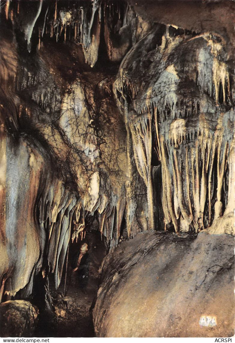82  SAINT ANTONIN NOBLE VAL Grotte Du Bosc Les Cascades  50 (scan Recto Verso)MA008TER - Saint Antonin Noble Val