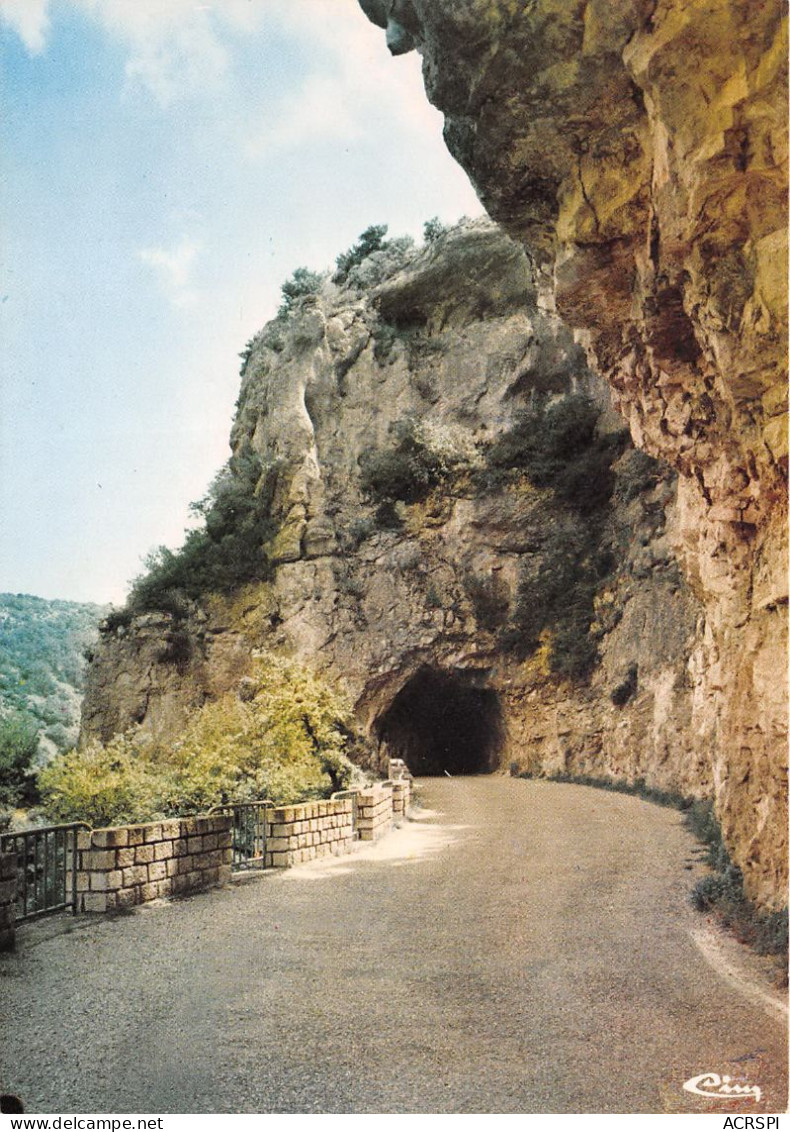 82  SAINT ANTONIN NOBLE VAL Entrée Du Tunnel  44 (scan Recto Verso)MA008TER - Saint Antonin Noble Val