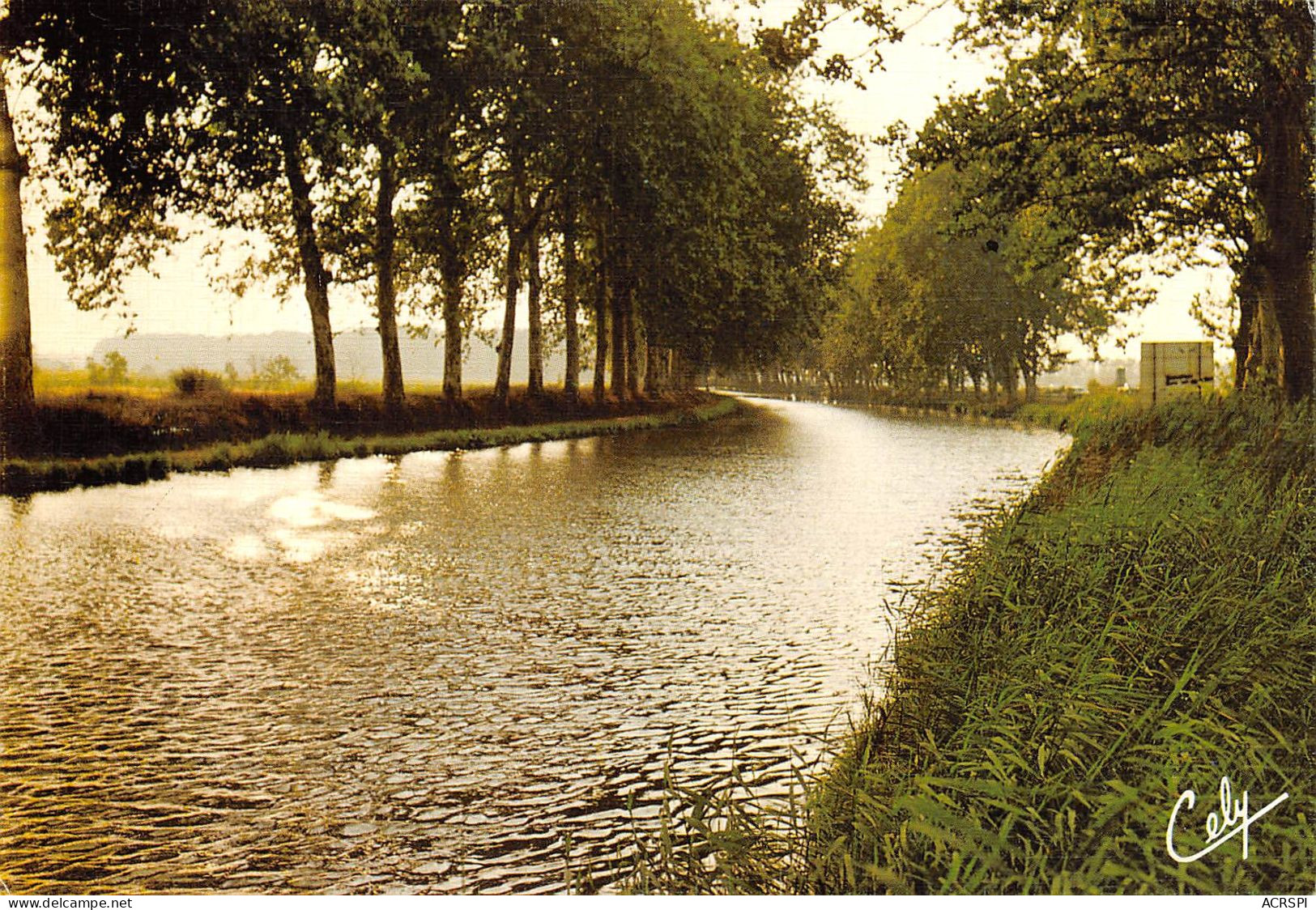 82  Le Canal Du Midi Castelsarrasin 32 (scan Recto Verso)MA008TER - Castelsarrasin