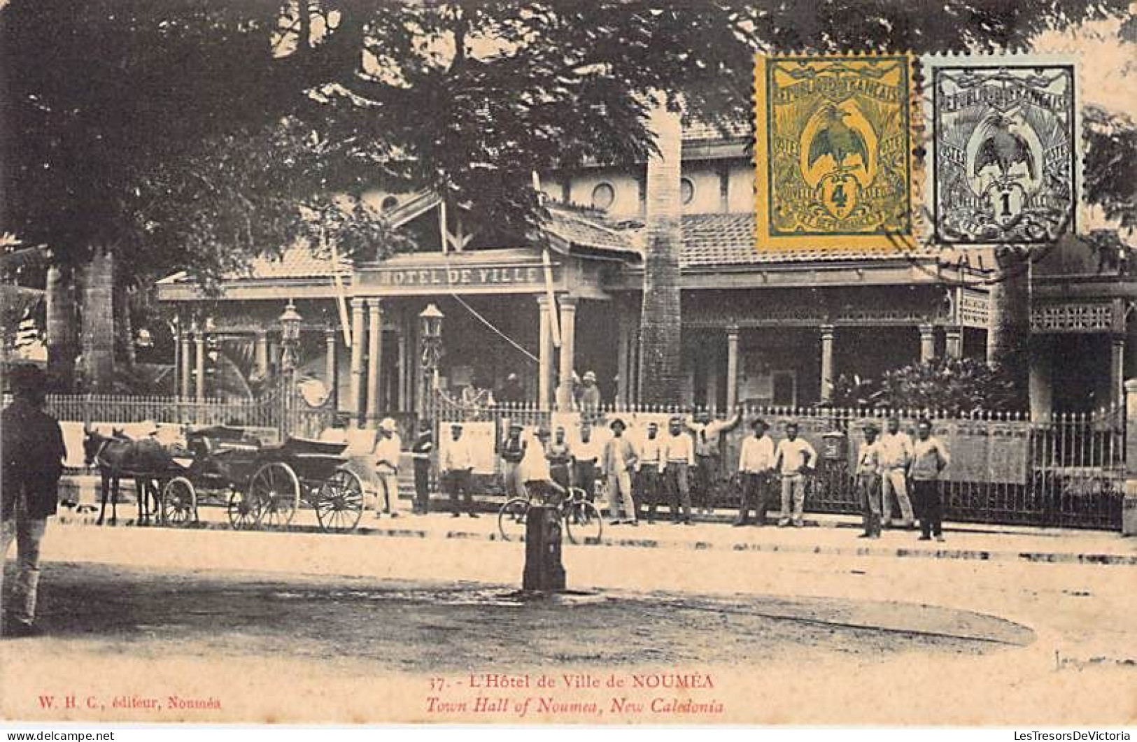 Nouvelle Calédonie - L'hôtel De Ville De Nouméa - Animé - Attelage - Carte Postale Ancienne - New Caledonia