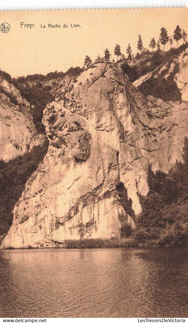 BELGIQUE - Freyr - Vue De La Roche Du Lion - Vue Générale - Lac - Carte Postale Ancienne - Dinant