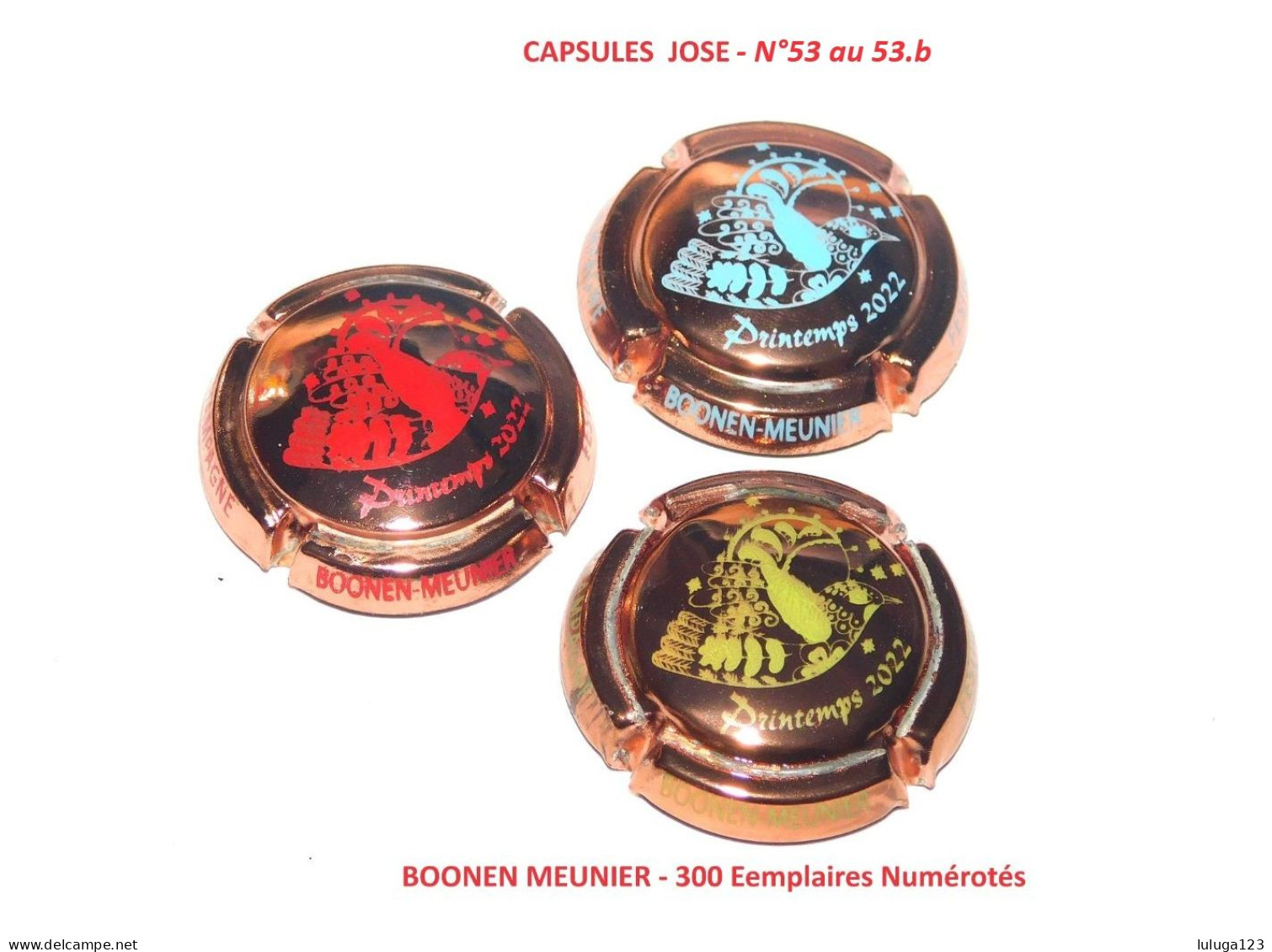 Série De 3 Capsules De Champagne BOONEN MEUNIER N°53 Au 53.a - Sammlungen