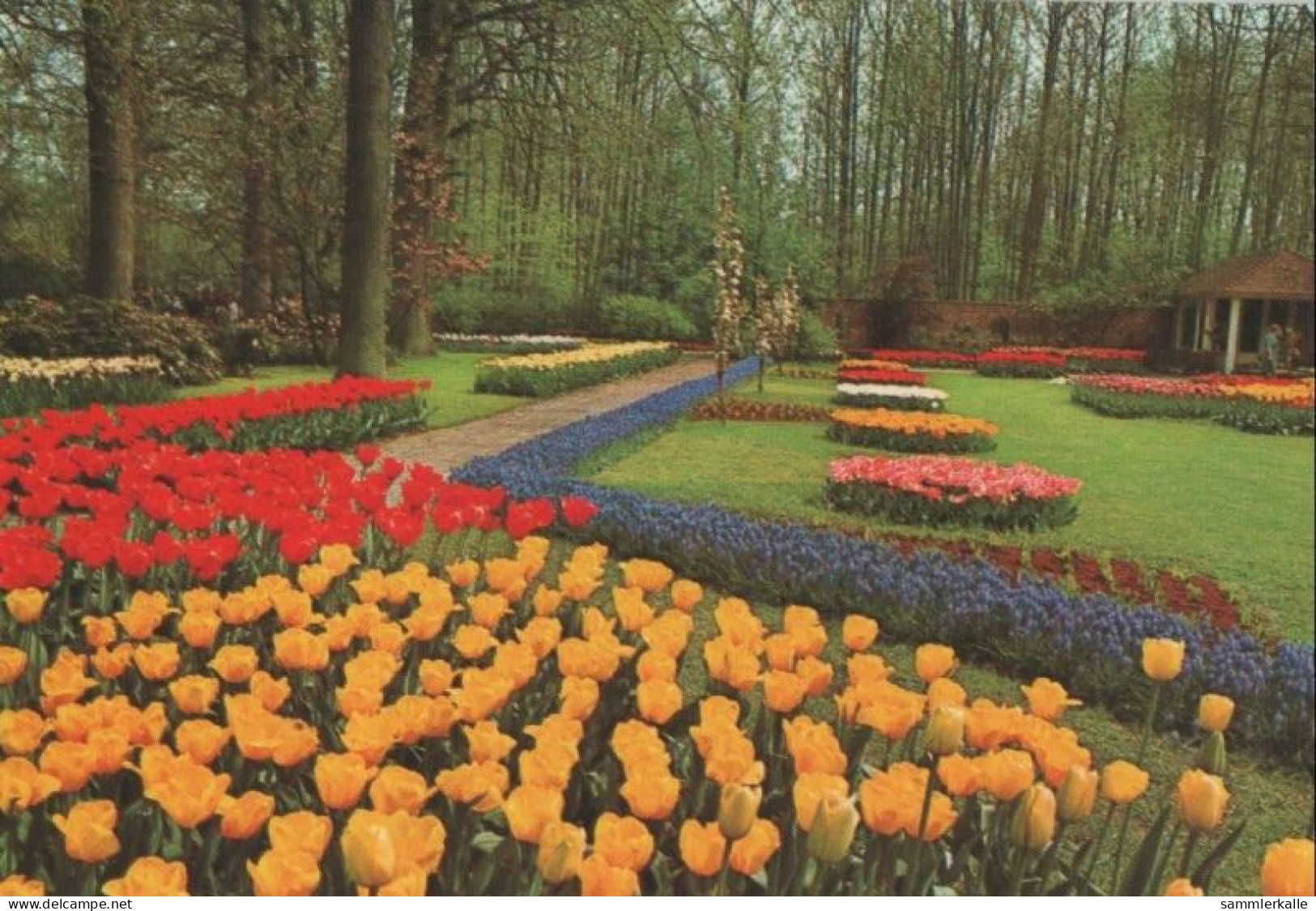 102668 - Niederlande - Lisse - Keukenhof - Ca. 1985 - Lisse