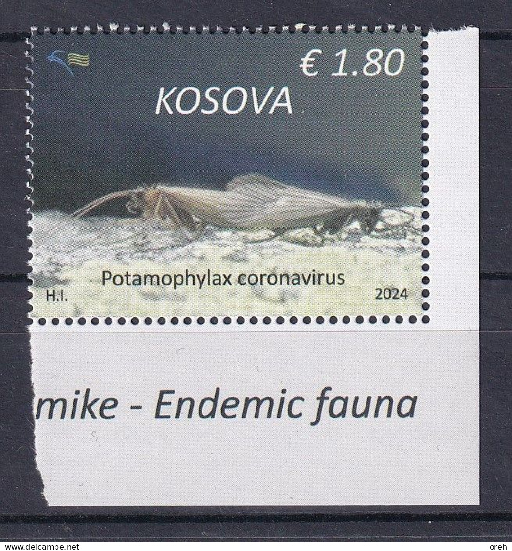 KOSOVO 2024,FAUNA ,INSECTS,ENDEMIC FAUNA,LAT. POTAMOPHYLAX CORONAVIRUS,MNH - Kosovo