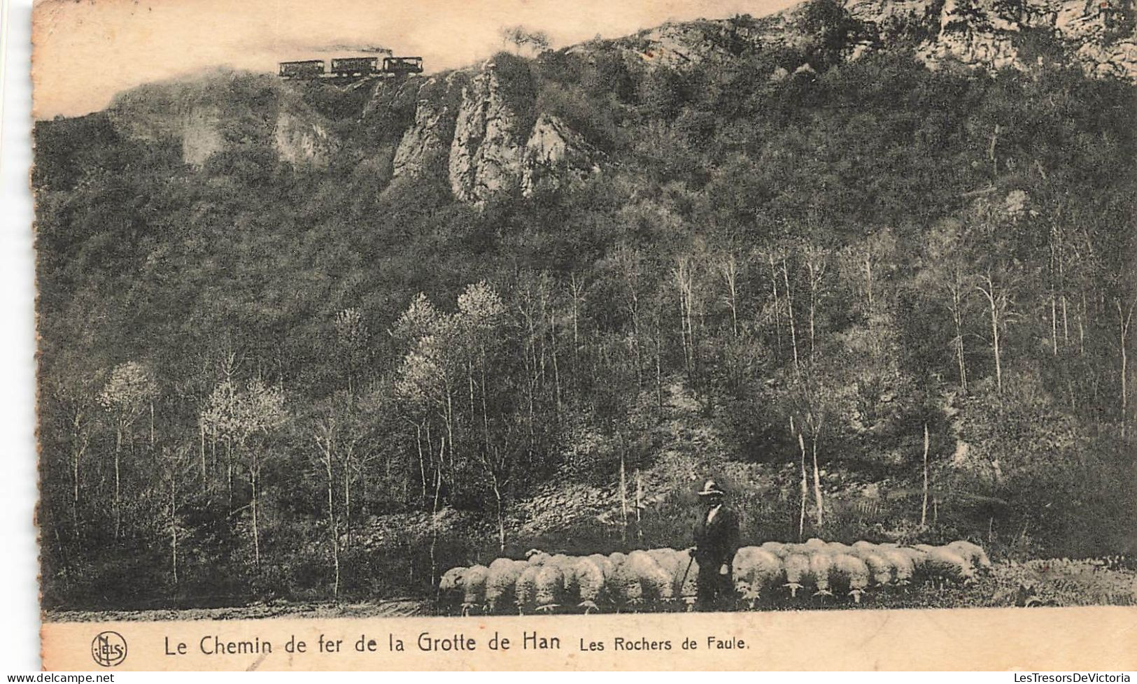 BELGIQUE - Le Chemin De Fer De La Grotte De Han - Les Rochers De Faule - Moutons - Forêt - Carte Postale Ancienne - Rochefort