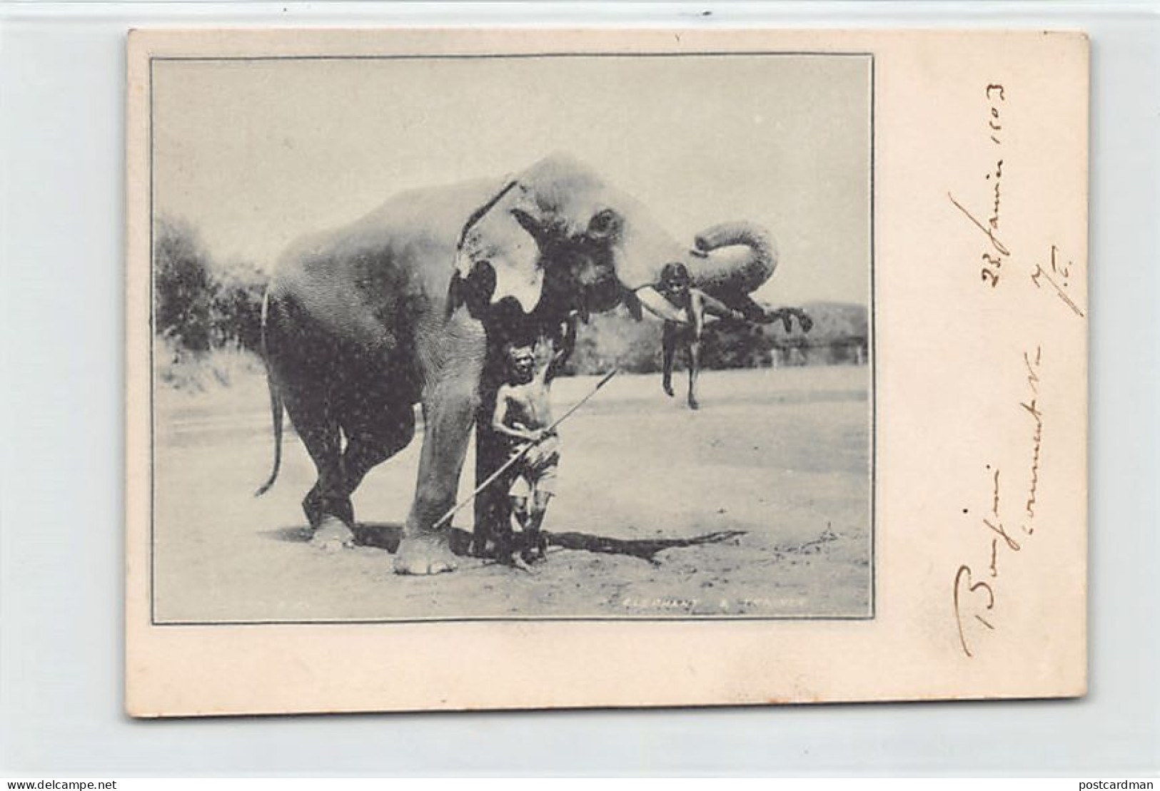 India - Elephant And Trainer - FORERUNNER SMALL SIZE POSTCARD - Publ. Clifton & Co. - Indien