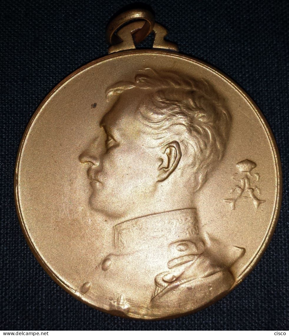 BELGIQUE Médaille Albert I Cercle Horticole De Paturages 1931 Concours De Décoration Florale - Royal / Of Nobility