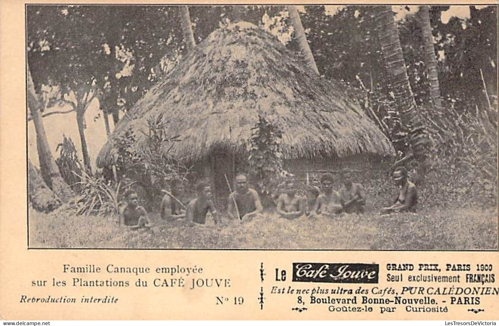 Nouvelle Calédonie - Famille Canaque Employée Sur Les Plantations Du Café Jouve - Animé - Carte Postale Ancienne - New Caledonia