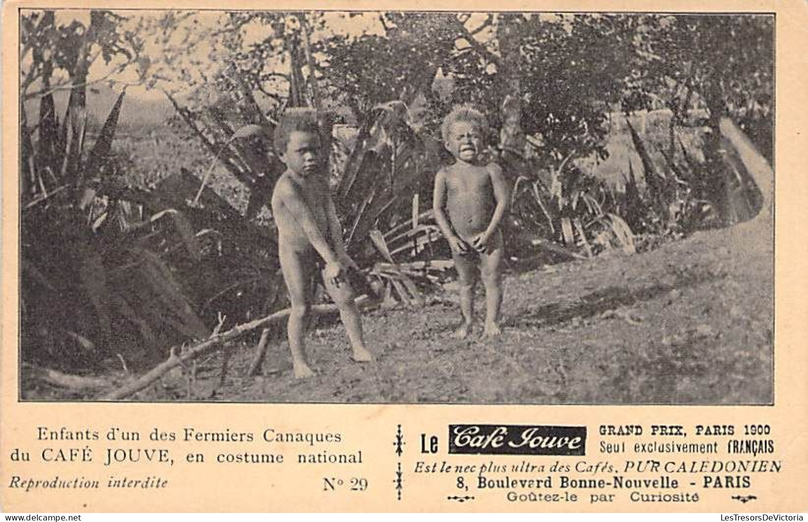 Nouvelle Calédonie - Enfants D'un Des Fermiers Canaques Du Café Jouve En Costume National- Carte Postale Ancienne - Nuova Caledonia