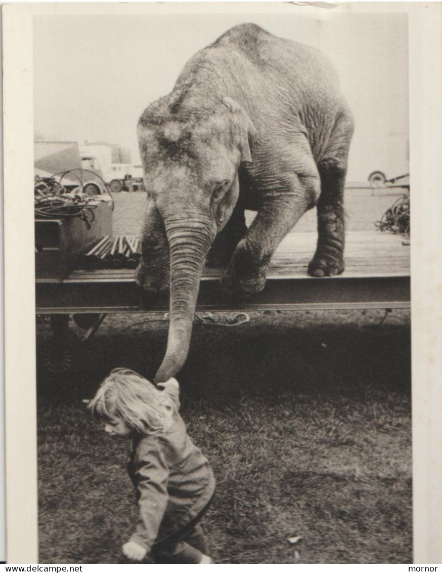 ELEPHANT Enfant  Humour Photo  Drysdale - Elefantes