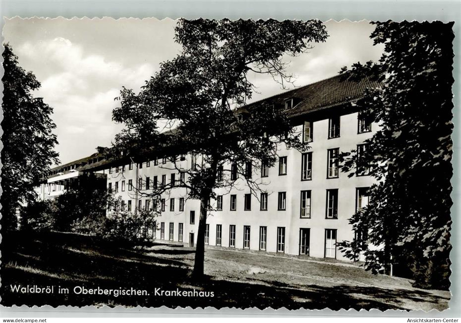 39864502 - Waldbroel - Waldbroel