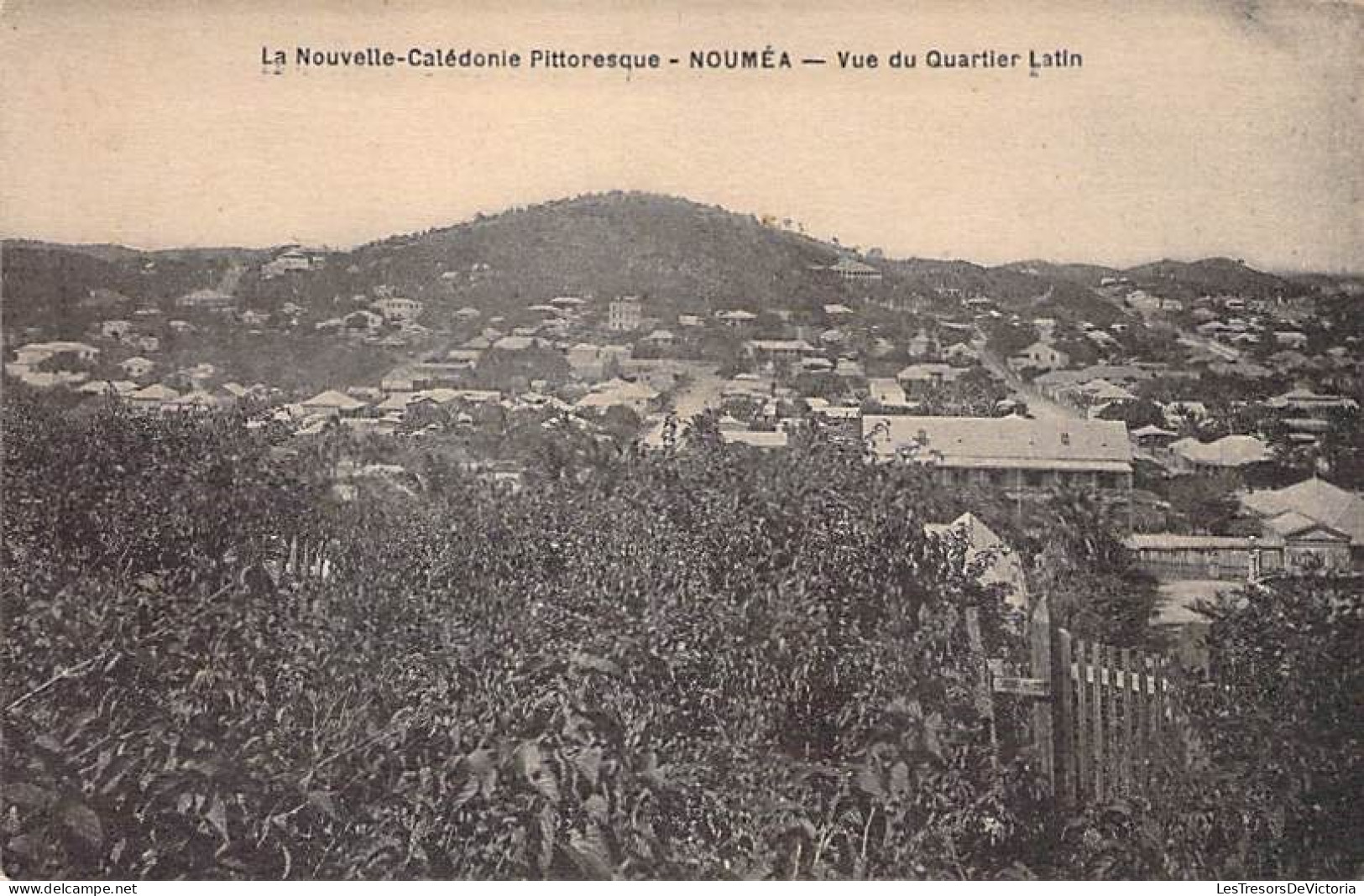 Nouvelle Calédonie - Nouméa - Quartier Et La Pointe De L'artillerie - Carte Postale Ancienne - Nueva Caledonia