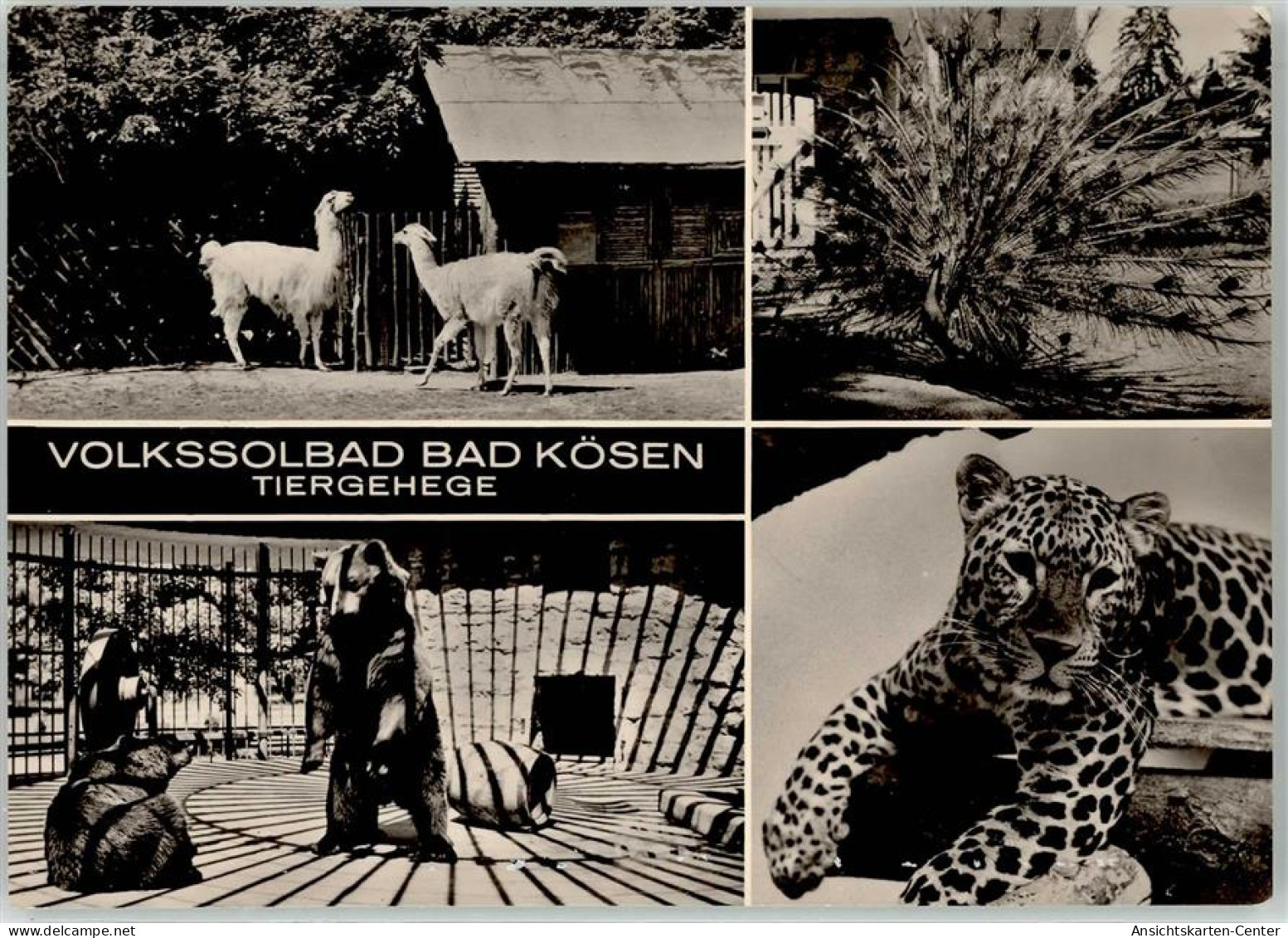 52104402 - Bad Koesen - Bad Kösen