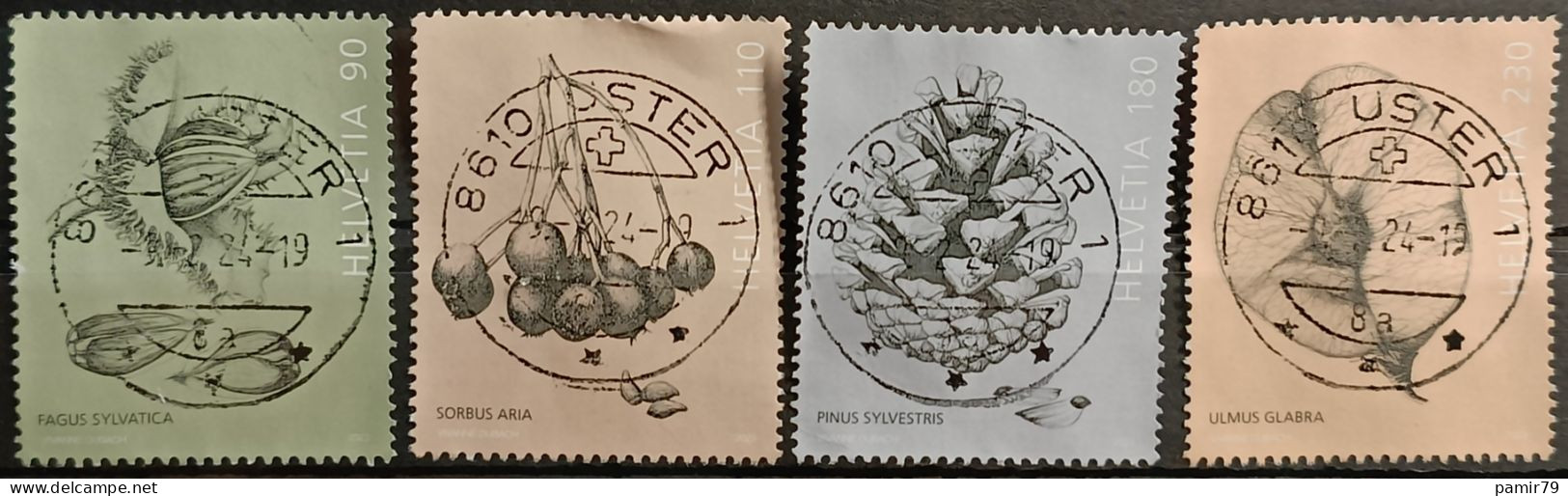 2023 Baumfrüchte Vollstempel - Used Stamps