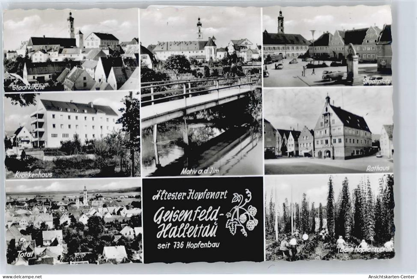 50543902 - Geisenfeld - Geisenfeld