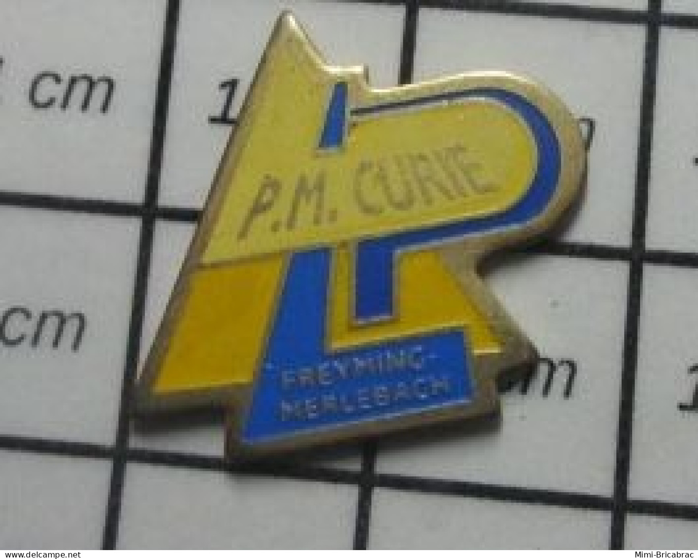 1319 Pin's Pins / Belle Qualité Et Rare / ADMINISTRATIONS / LYCEE P & M CURIE FREYMING MERLEBACH - Administrations