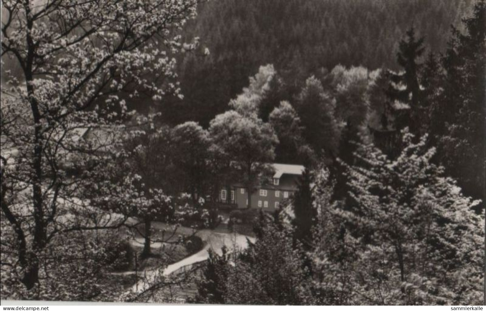 54295 - Siegen-Eiserfeld - Hof Obere Hengsbach - 1967 - Siegen