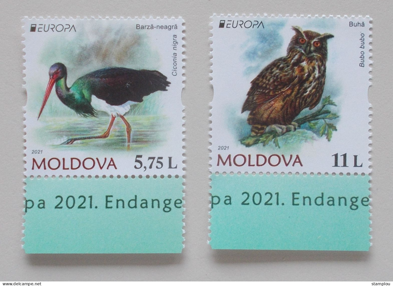 Moldavie-Moldavia 2021 Cept  Mint - 2021