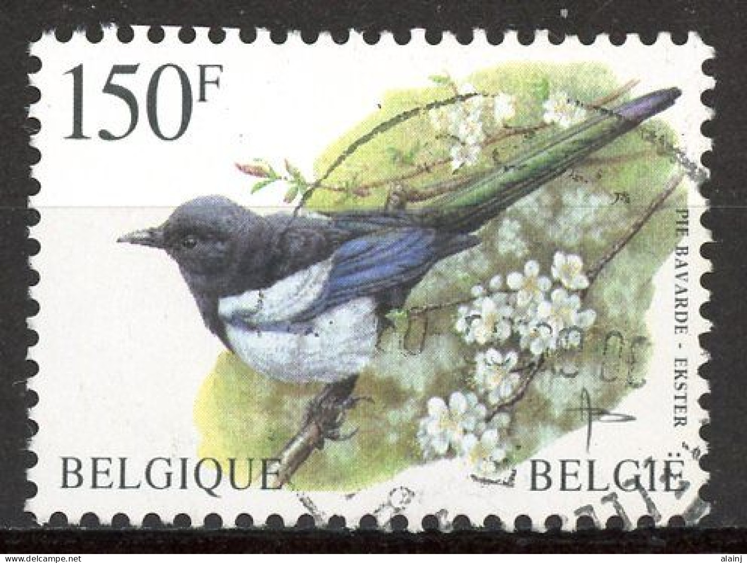 BE   2988   Obl.   ---  Oiseau Buzin : Pie Bavarde - Usati