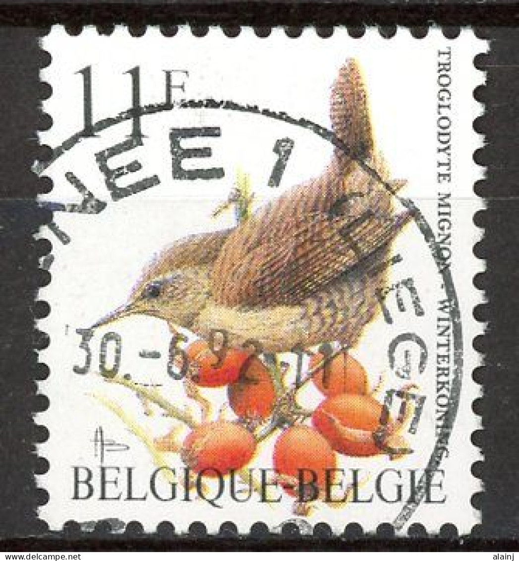 BE   2449   Obl.   --- Oiseau Buzin : Troglodyte Mignon - Used Stamps