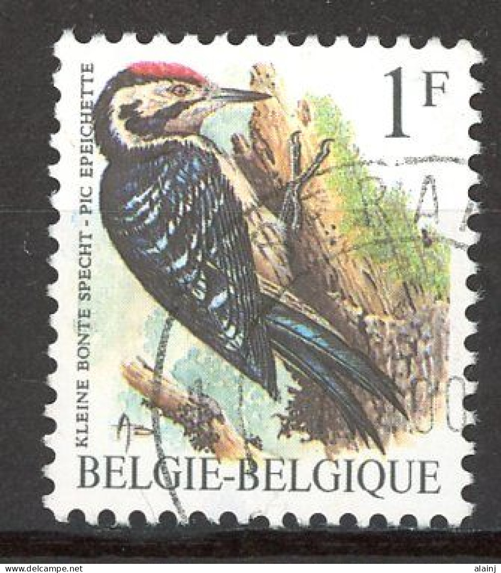 BE   2349   Obl.   ---  Oiseau Buzin : Pic épeichette  --  Oblitération Seraing - Used Stamps