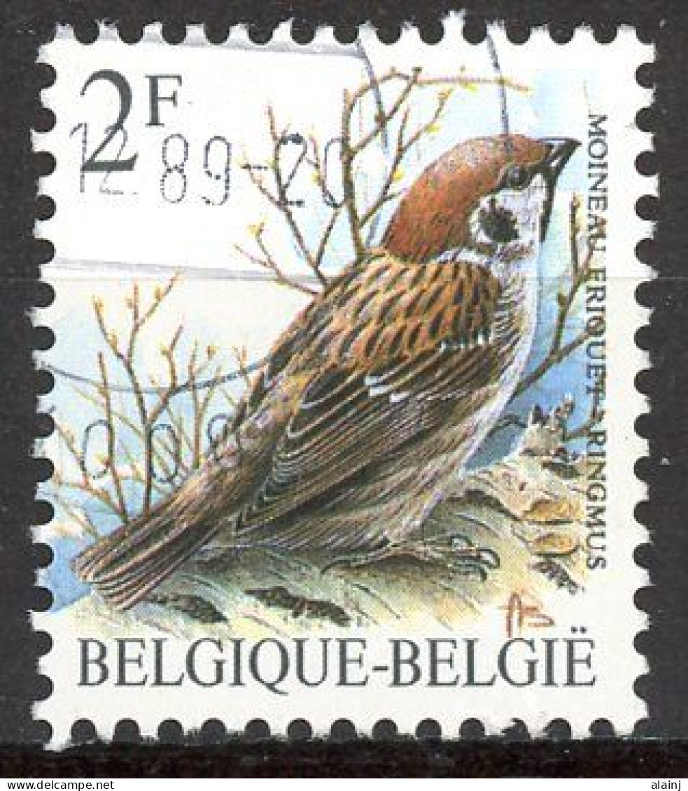 BE   2347   Obl.   ---  Oiseaux Buzin : Moineau Friquet - Oblitérés