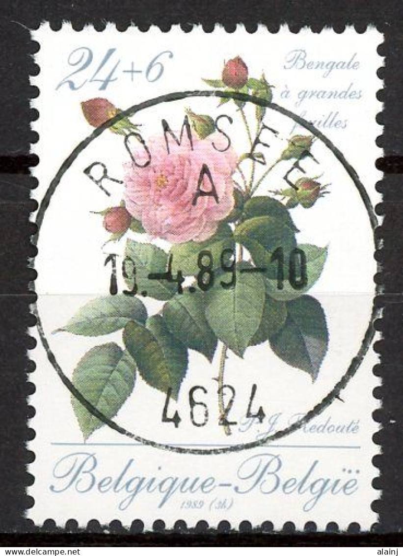 BE   2319   Obl.   ---  Rose De Redouté  --  Oblitération Centrale Romsée - Usati