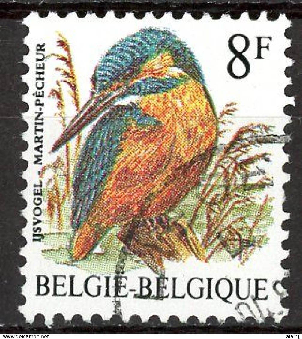 BE   2240   Obl.   ---   Oiseau Buzin : Martin-Pêcheur - Gebraucht