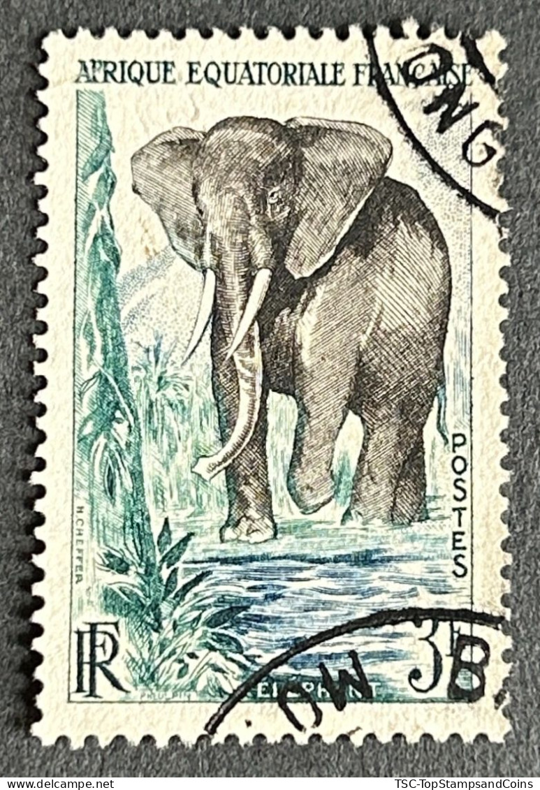 FRAEQ0240U1 - African Forest Elephant - 3 F Used Stamp - AEF - 1957 - Usati