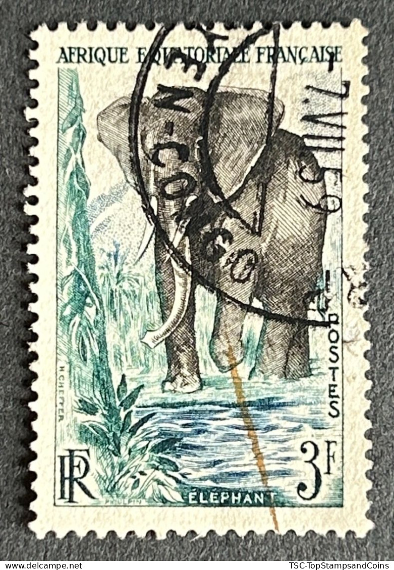 FRAEQ0240U2 - African Forest Elephant - 3 F Used Stamp - AEF - 1957 - Usados