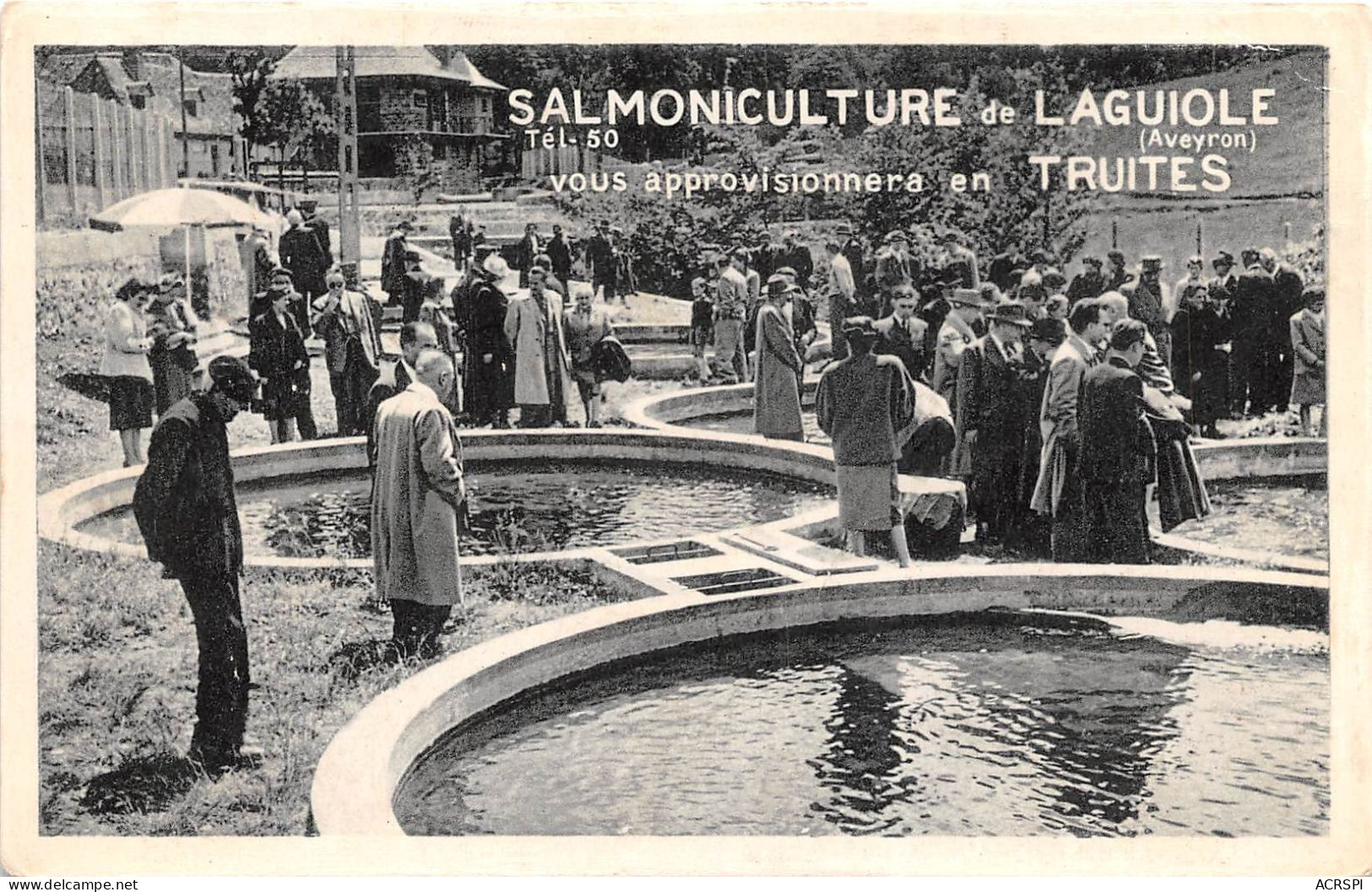 Salmoniculture De LAGUIOLE Vous Approvisionnera En Truites 28(SCAN RECTO VERSO)MA101 - Laguiole