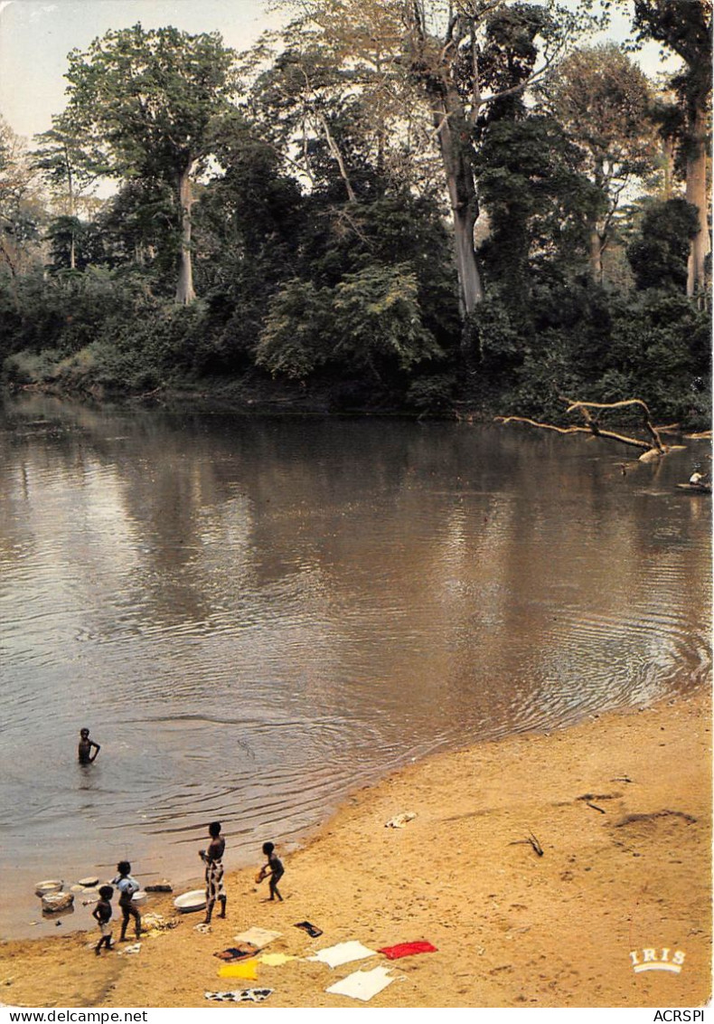 BENIN La Lessive Au Marigot Afrique En Couleurs 20(scan Recto-verso) MA195 - Benin