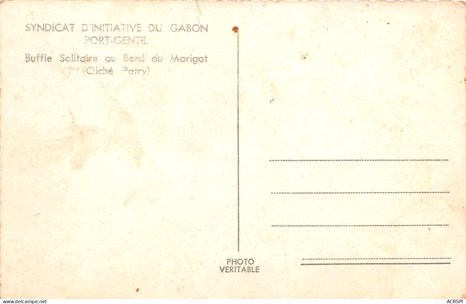 AEF GABON Syndicat D Initiative PORT GENTIL Buffle Solitaire Au Bord Du Marigot 23(scan Recto-verso) MA187 - Gabon