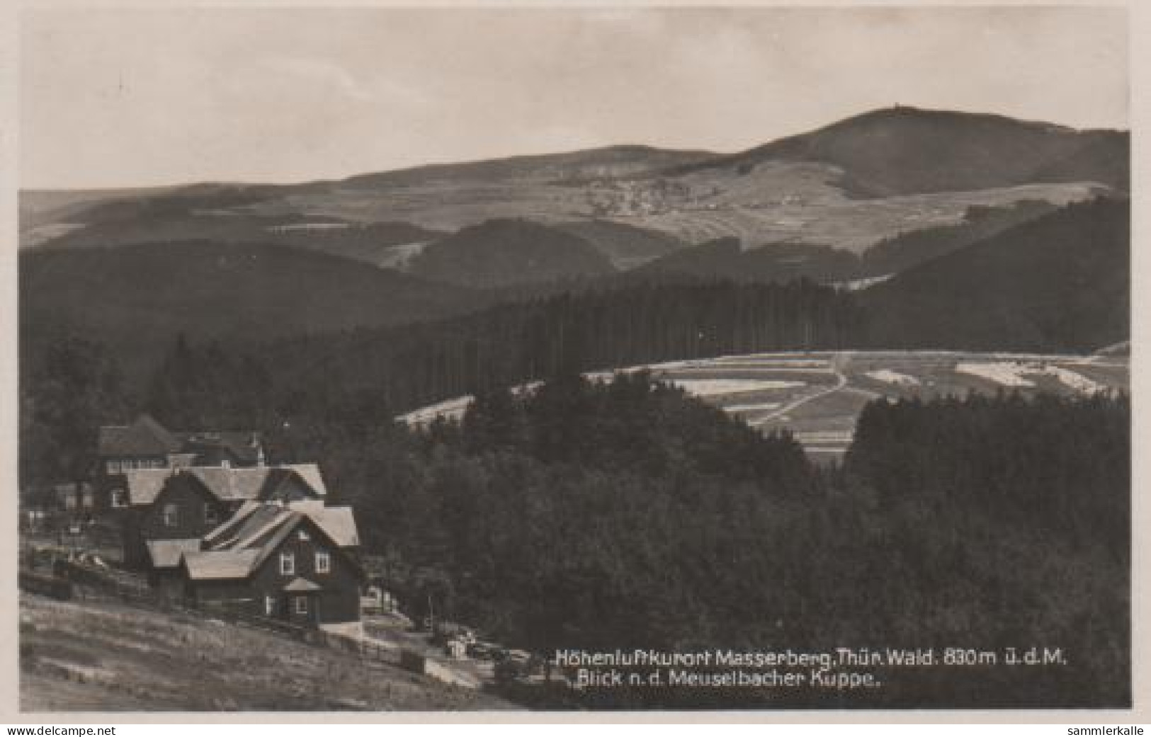 2405 - Masserberg - Blick Nach Der Meuselbacher Kuppe - 1963 - Masserberg