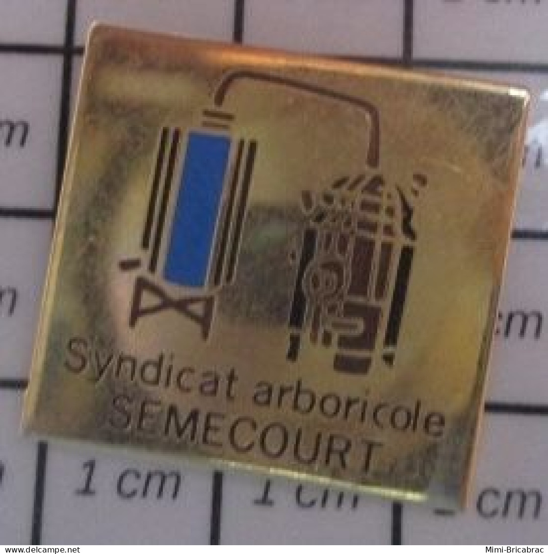 713c Pin's Pins / Beau Et Rare / ASSOCIATIONS / SYNDICAT ARBORICOLE SEMECOURT - Asociaciones