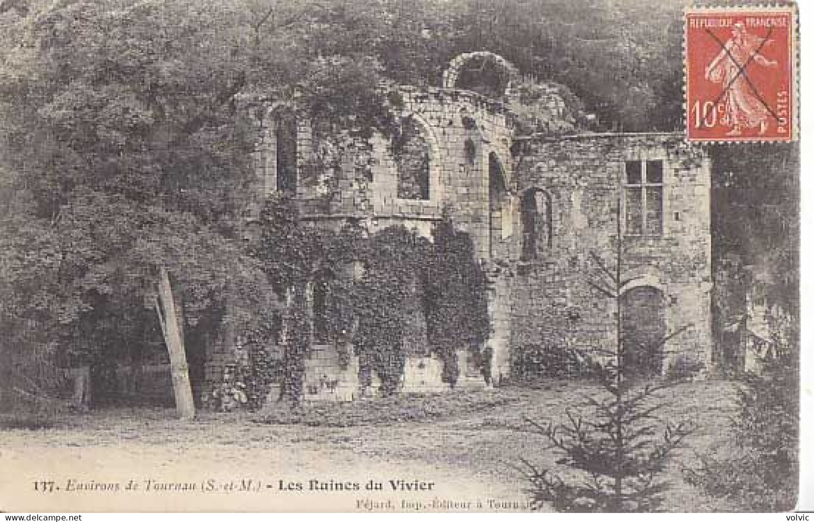 77 -  Environs De TOURNAN - Les Ruines Du VIVIER - - Tournan En Brie