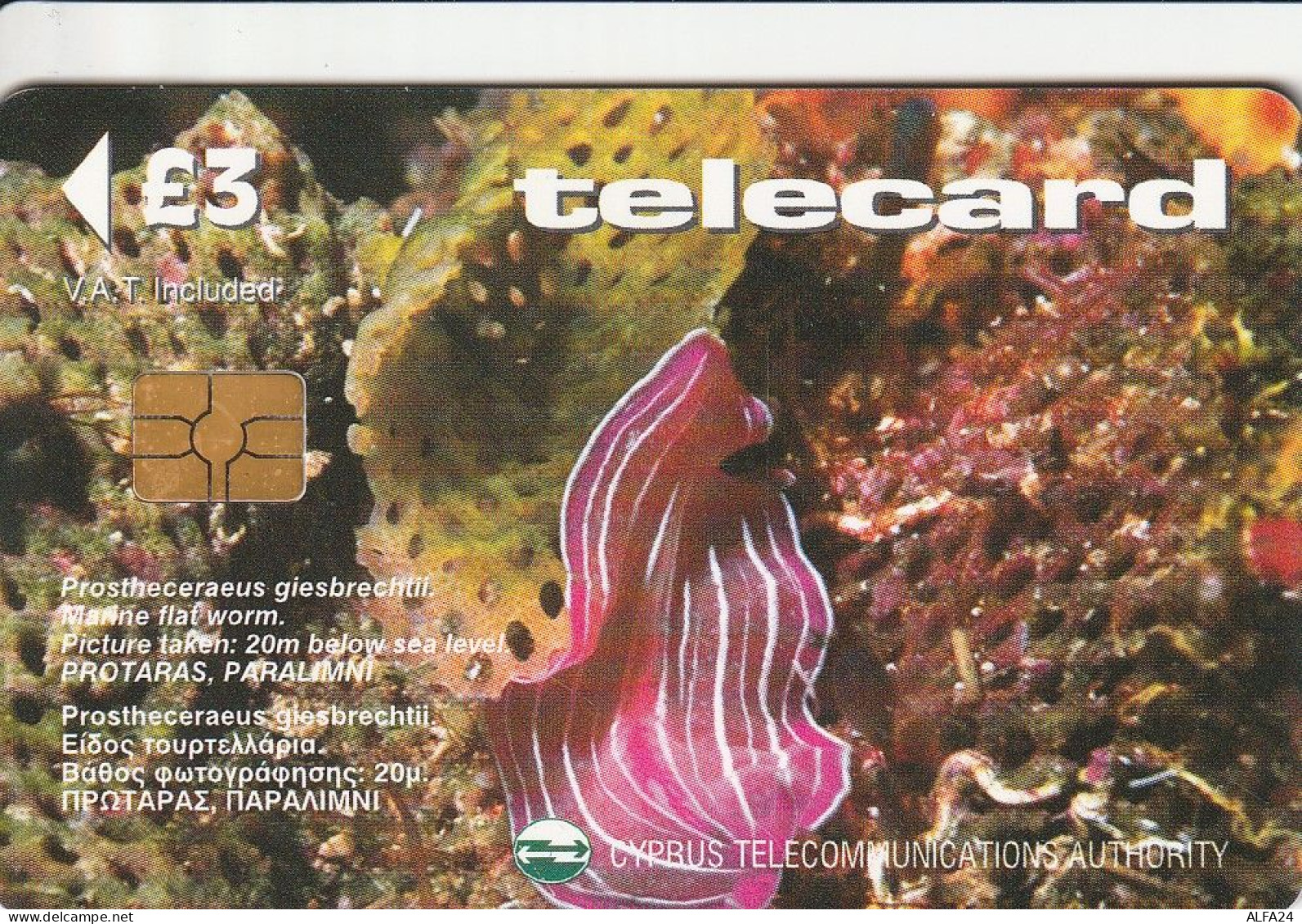 PHONE CARD CIPRO  (E64.21.2 - Zypern